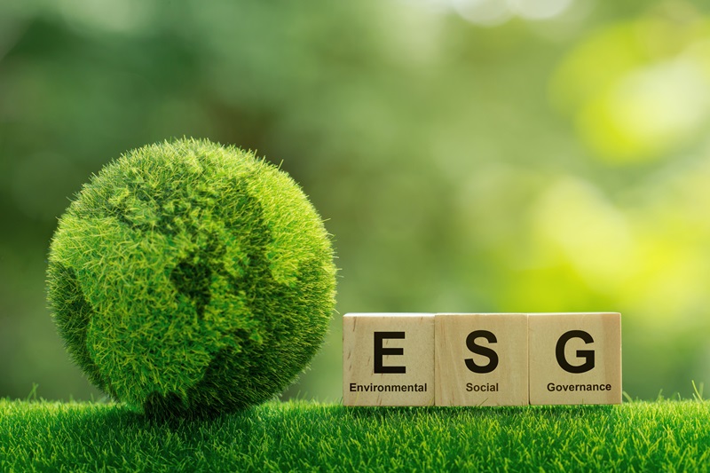 esg porfolio management